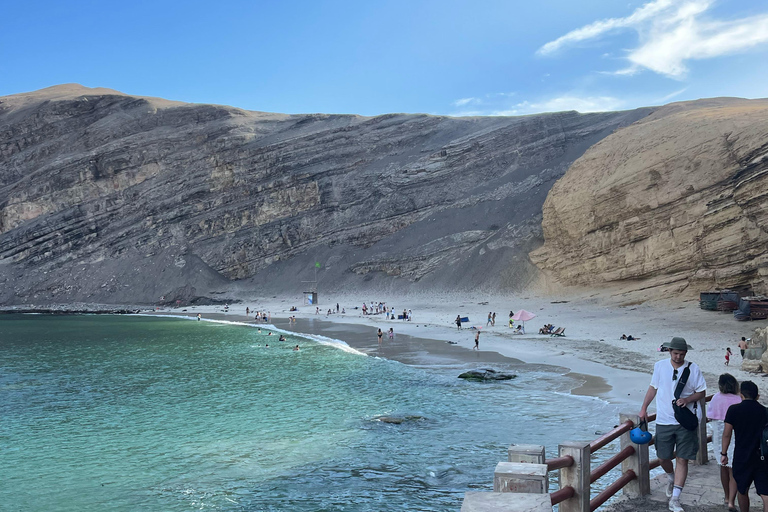 VANUIT LIMA: HELE DAG PARACAS - ICA