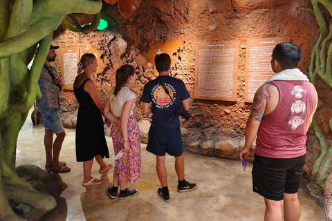 Chiang Rai: Top Temples & Signature Attractions ~Free Buffet