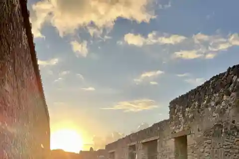 Da Napoli: Tour guidato di Pompei con autista e salta la fila