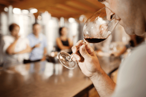 Empordà: Visit Celler La Vinyeta with wine tasting Empordà: Visit Celler La Vinyeta with a wine tasting