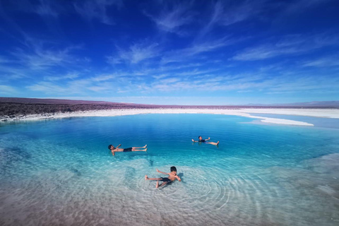 San Pedro Atacama: Baltinache Lagunes en Magische bustour