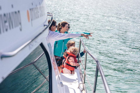 Christchurch: Akaroa Dolphin Cruise & French Heritage Tour