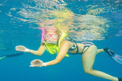 Private: Sosua Bay Snorkeling Tour with Hotel Pickup