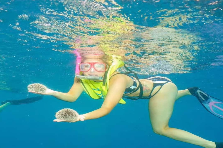 Private: Sosua Bay Snorkeling Tour with Hotel Pickup