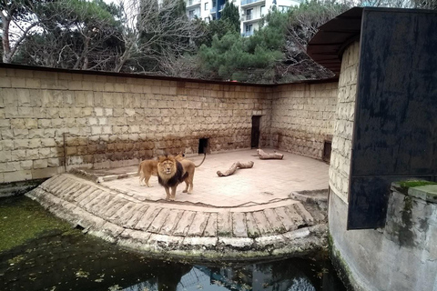 From Baku: Gala State Historical Reserve and Zoological Park