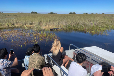 Miami Beach: 60 min Airboat, transfer i sanktuarium dzikich zwierzątEverglades