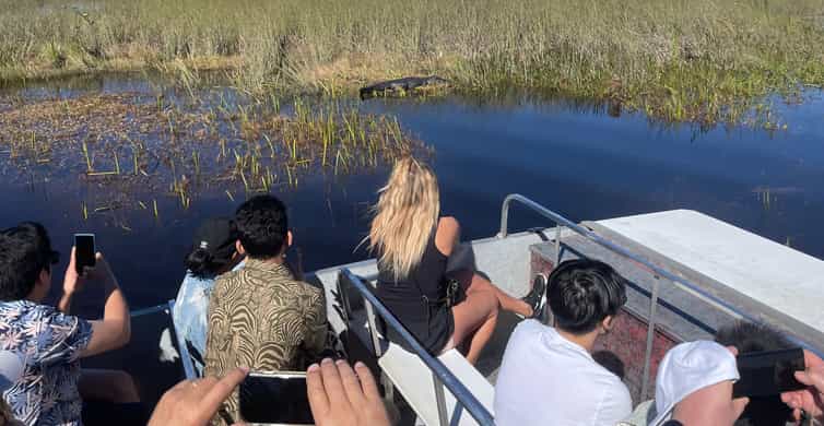 From Miami: Everglades Airboat Gator Spotting Tour photo 2