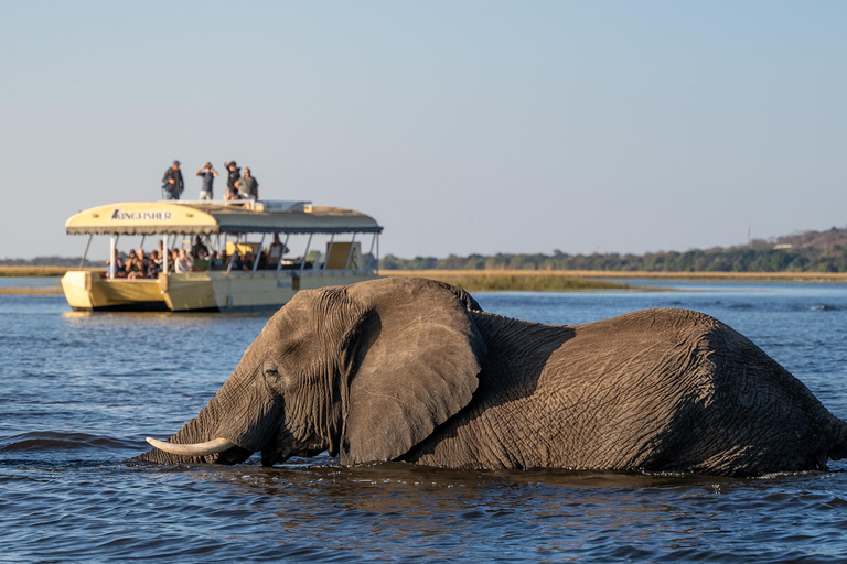 Victoria Falls: 2-Day Chobe National Park Camping Safari