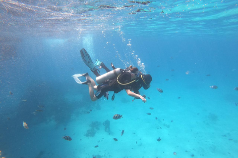 Hurghada: Dive Experience for Beginners or Certified Divers Full-Day Scuba Diving for Certified Divers