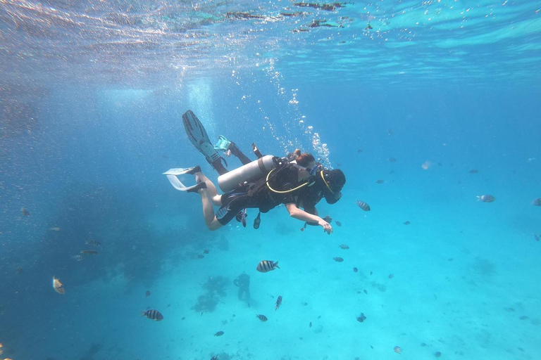 Hurghada: Dive Experience for Beginners or Certified Divers Full-Day Scuba Diving for Certified Divers