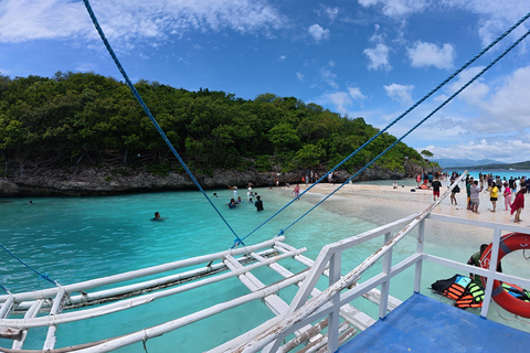 Oslob: obserwacja rekinów wielorybich, wyspa Sumilon i obserwacja małpOslob: Obserwacja rekinów wielorybich, wyspa Sumilon i małpy