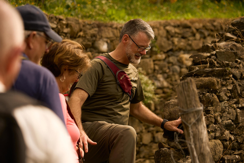 From Florence: Cinque Terre Day Trip with stop in Pisa Cinque Terre: Semi-Private Tour