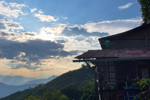 Z Medellín: 1-dniowa wycieczka &quot;La Casa en el Aire&quot;La Casa en el Aire: 1-dniowa wycieczka - transport wliczony w cenę