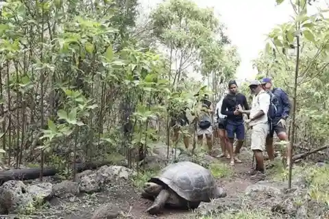 Tour di un giorno intero all'Isola Floreana e alla Grotta dei Pirati