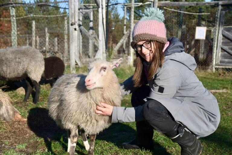 IVALO: Experience Farm Visit | small group