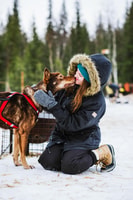 Husky Safari 1 ora (10 km) Piccolo gruppo Musking Experience - Hizvo