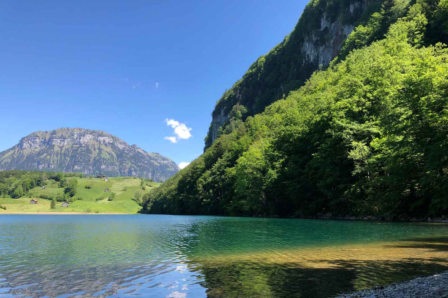 Swiss Highlights: Guided Zürich, Lucerne and Basel tour