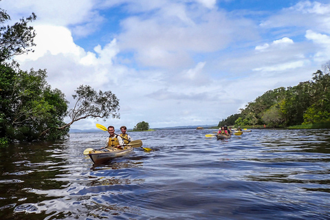 Everglades de Noosa: Tour guiado verdaderamente sostenible