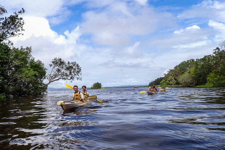 Noosa Everglades: Truly Sustainable Guided Tour