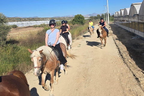 Side: Horse Safari and Family Activity Park Entry 2-Hour Extended Horse Safari Experience
