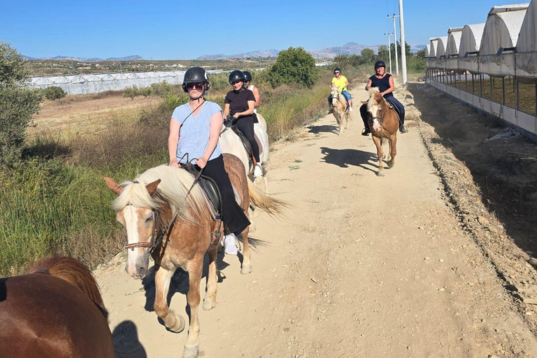 Side: Horse Safari and Family Activity Park Entry 2-Hour Extended Horse Safari Experience
