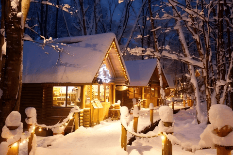 From Sapporo: Chiyoda Snowmobiling & Ningle Terrace Day Trip Premium Comfort Coach Group Tour