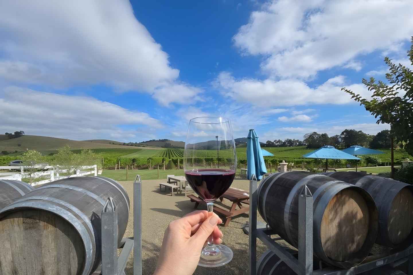 Melbourne: Yarra Valley Wine & Views Tour - Melbourne: Yarra Valley Wine & Views Tour
