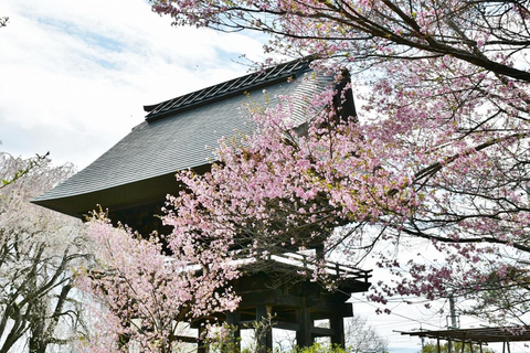 Tokyo: SAKURA Wagashi & tea trial tour in Japanese garden