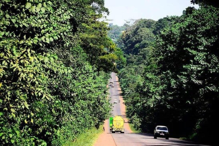 From Kampala/Entebbe: Mbarara Day Trip with Lunch & Guide