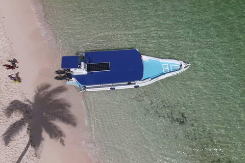 Punta Cana: Catalina Island Snorkeling Tour with Lunch