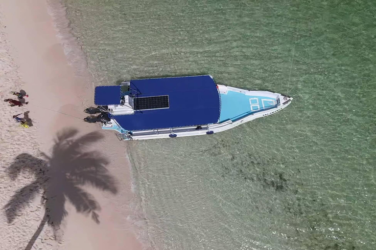 Punta Cana: Catalina Island Snorkeling Tour with Lunch