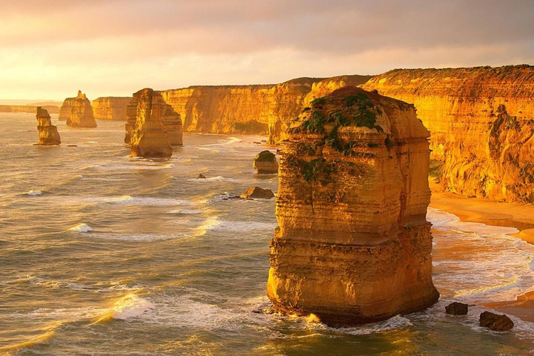 Great Ocean Road Boutique Minibus Reverse Tour & 12 Apostles Minibus Meeting Point Pickup (Max 23 Guests)