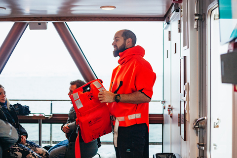 Tromsø: fiordo ártico en catamarán híbrido-eléctrico