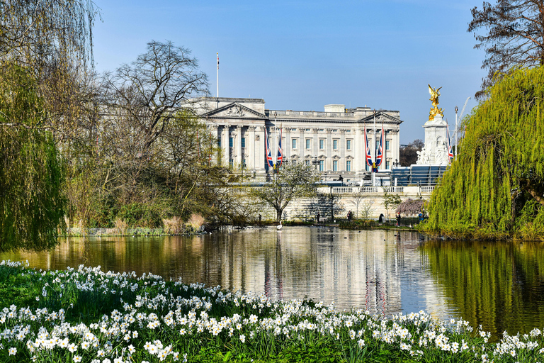 London: Premium 20+ Sights Tour with Expert Local Guide