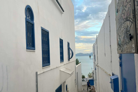 La Goulette: Guided Group Tour of Tunis, Carthage & Sidi Bou Said