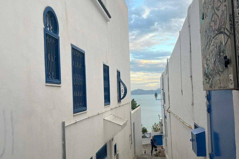 La Goulette: Guided Group Tour of Tunis, Carthage & Sidi Bou Said