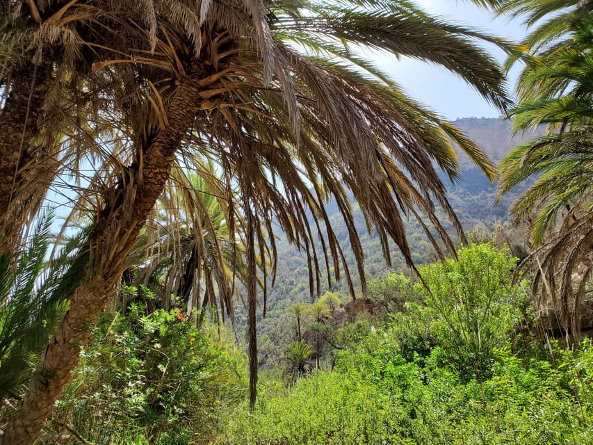 Agadir Excursi N Guiada Al Valle Del Para So Con Recogida En El Hotel