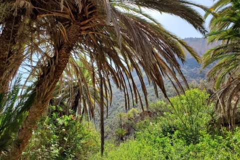 Paradise Valley Agadir: Półdniowa wycieczka z przewodnikiem