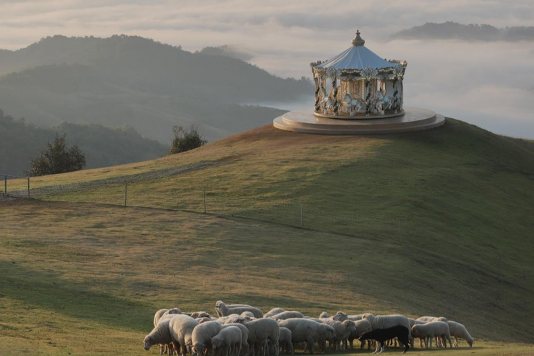 Chiang Mai: Chiang Rai Temples & Akha FarmVille Day Trip