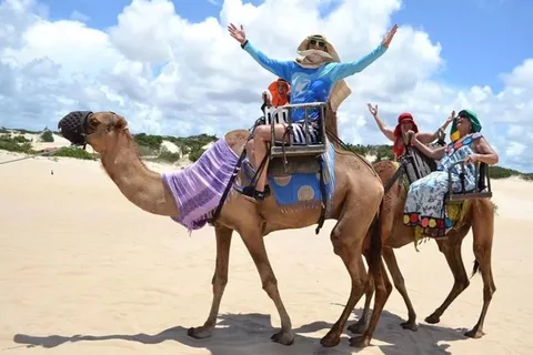 Ica: Camel ride + Swimming pool