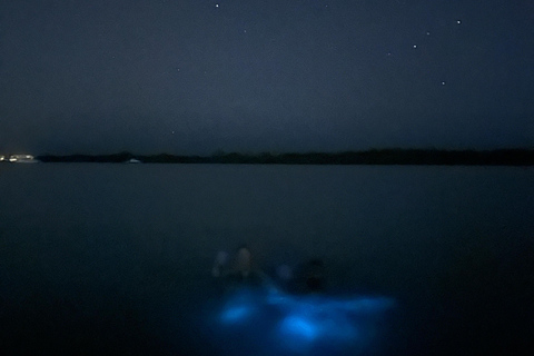 ULTIMATE Bioluminescence night time adventure with Brandon