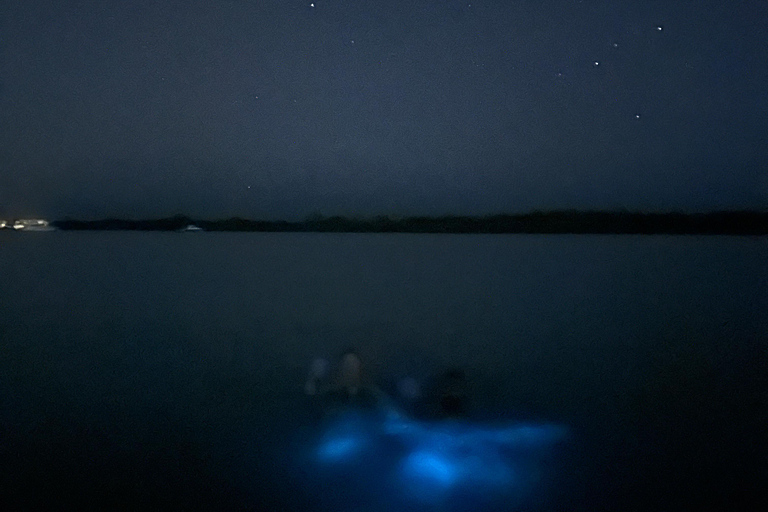 ULTIMATE Bioluminescence night time adventure with Brandon