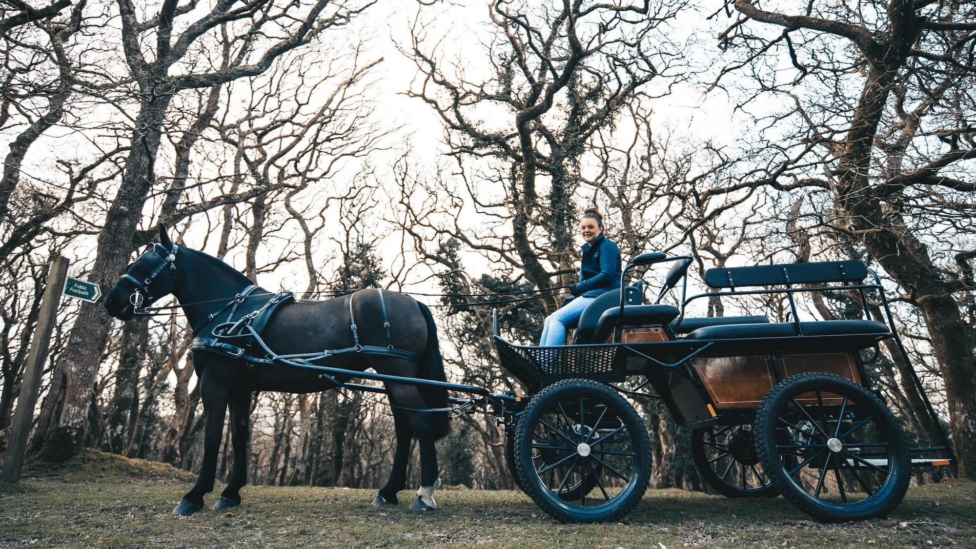 Dartmoor: Kutschfahrt