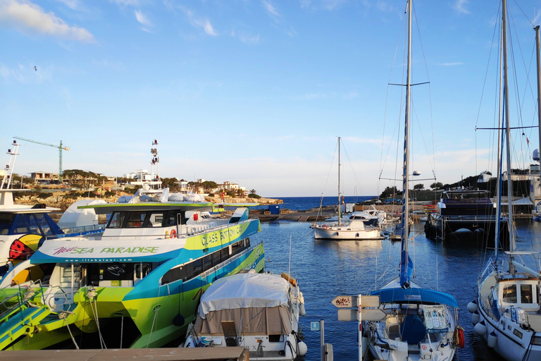 Drach Caves and Palma or Beach Retreat – Full-Day Tour