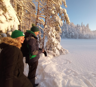 Food Tours in Helsinki