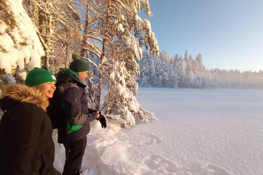 Von Helsinki aus: Wandertour mit Essen im Nuuksio-Nationalpark. Foto: GetYourGuide