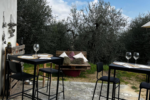 Pisa: Winery Tour and Wine Tasting with Local Food Pairing