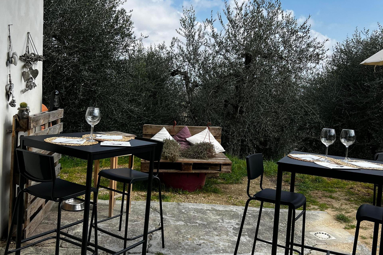 Pisa: Winery Tour and Wine Tasting with Local Food Pairing