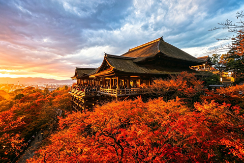 Osaka: Kiyomizu, Fushimi Inari, Nara & Gion Private Sightseeing Tours