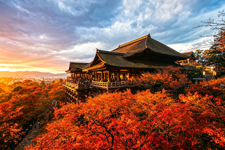 Osaka: Kiyomizu, Fushimi Inari, Nara & Gion Private Sightseeing Tours